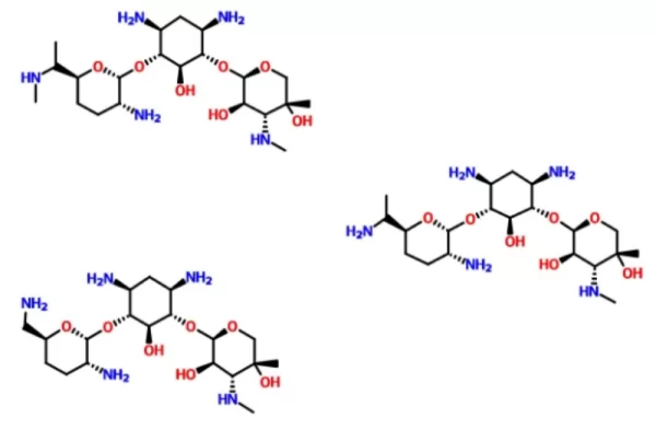 Gentamicin Sulfate Production